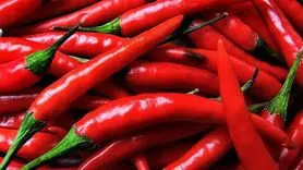 خوراکی های چربی سوز کدامند؟