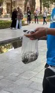پویش «جان شما و جان چهارباغ» در روز جهانی بدون دخانیات برگزار شد+فیلم