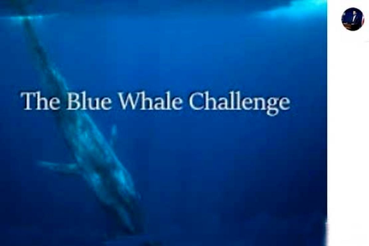 هشدار وزیر ارتباطات درباره بازی نهنگ آبی