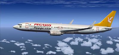 فرود اضطراری هواپیمای ترکیه در اصفهان