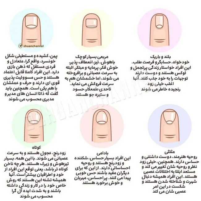 اینفوگرافی: شخصیت شناسی با شکل ناخن