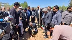 توزیع ۸۴۰ هزار نهال با نهضت ملی کاشت یک میلیارد درخت در اصفهان 