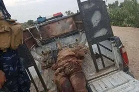 یک داعشی خود را منهدم کرد!