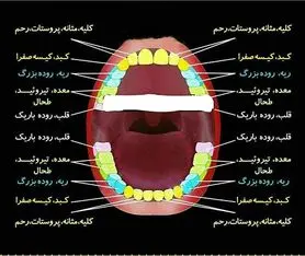 راز پوسیدگی دندان‌ها در چیست؟