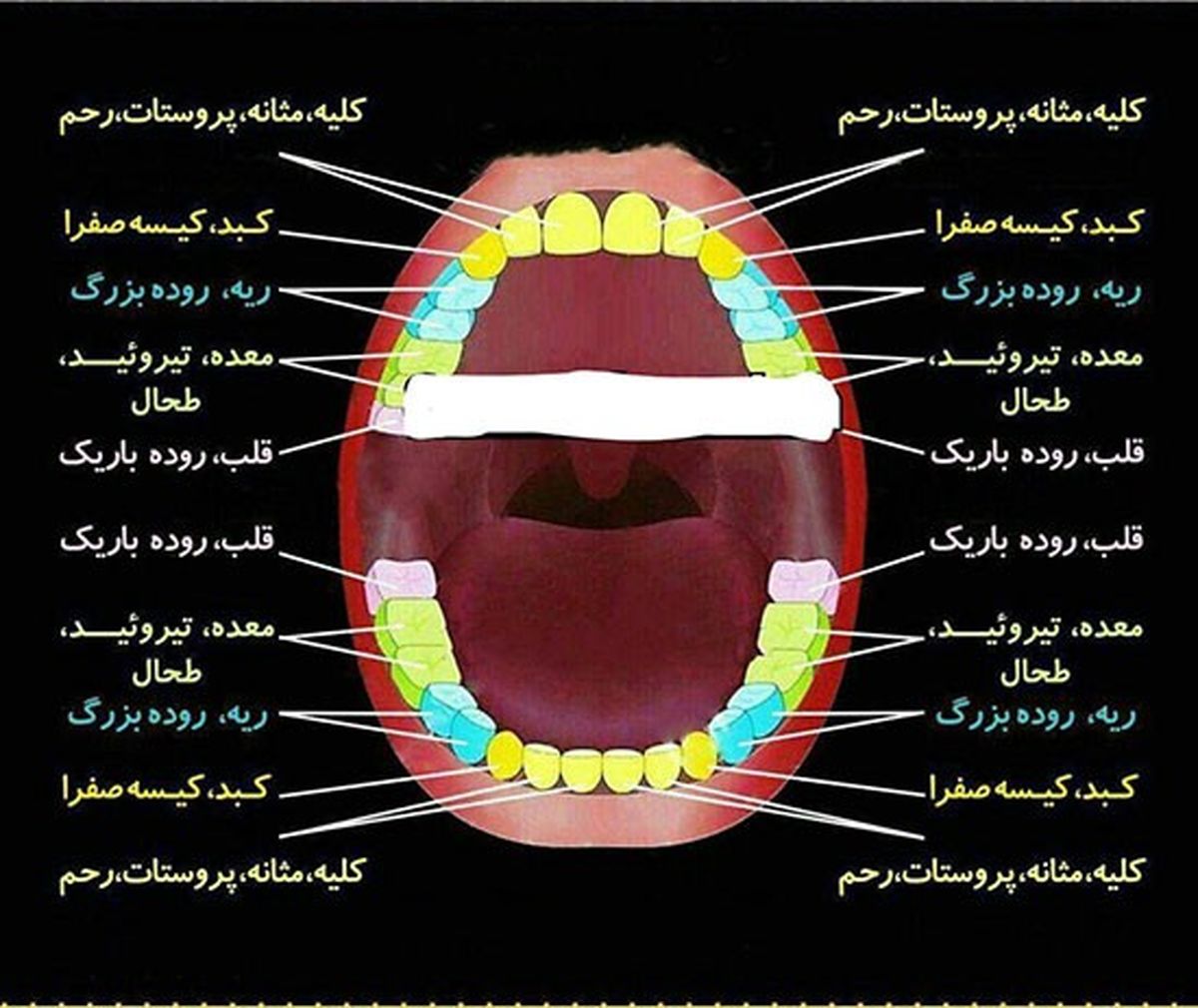 راز پوسیدگی دندان‌ها در چیست؟