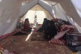 نبض زندگی اینجا تندتر می زند