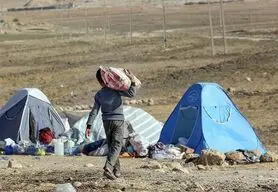 فرشته ها در ویرانه
