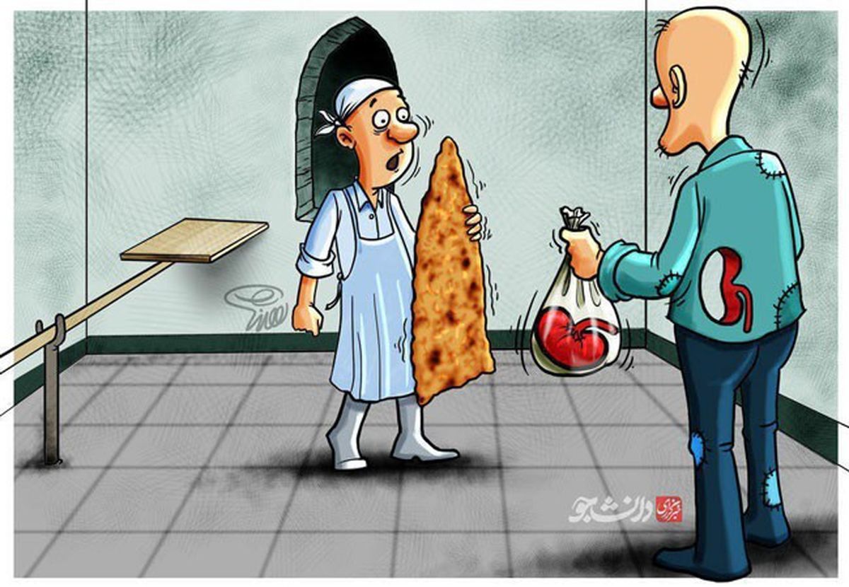 کارتون: نان گران می‌شود