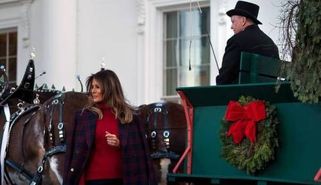 ﻿ همسر ترامپ درخت کریسمس را دریافت کرد