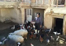 روستایی ساده زیستی که میلیاردر شد