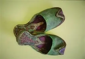 بانویی که برای پژوهش "کفش" ۵ بار کل ایران را سفر کرد
