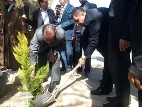 توزیع 7 هزار اصله نهال در شهرستان نجف‌آباد