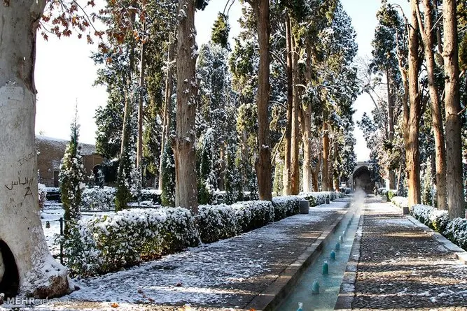 سفید پوش شدن باغ فین کاشان