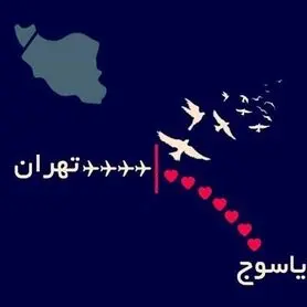 پوسترهایی برای سقوط هواپیمای ATR