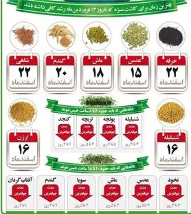 بهترین زمان برای کاشت سبزه عید!