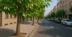 توت‌های شهری، ناقل خاموش سرب و باکتری‌های مرگبار به سفره شهروندان