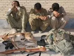 دستگیری 27 شکارچی متخلف در یک ماه