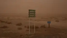 ارتباط پنهان گاوخونی و ام‌اس: خطر آلاینده‌های سمی تالاب، ریسک بیماری‌های نورونی در اصفهان را تا ۱۳٪ بالا برد!