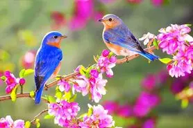 صدای پای بهار با همه خوشی‌ها و ناخوشی‌ها