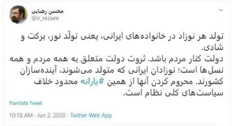 رضایی: محروم‌کردن نوزادان ایرانی از یارانه خلاف سیاست‌های کلی نظام است