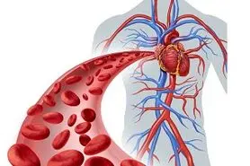 شایع‌ ترین نوع کم‌ خونی کدام است؟