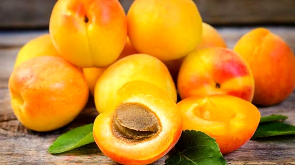 میوه‌ای تابستانی و خوشمزه، دشمن سرطان و بیماری‌های عصبی