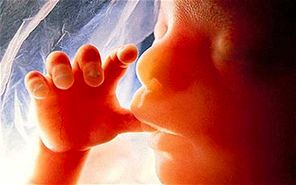 را‌زهایی از سقط جنین زیرزمینی؛ قتل با ۴ میلیون در کمتر از ۲ ساعت