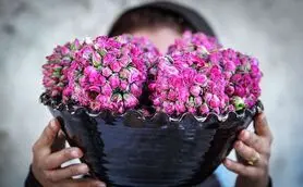 خواص جادویی گلاب؛ از تسکین درد و تقویت روحیه تا ضد پیری