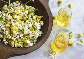 خواص گياه بابونه