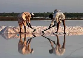 نمک دریا، ماده‌ای مفید یا سرطان زا؟