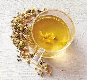  گیاه معجزه گر و مهمترین خواص درمانی بابونه