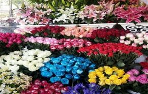نبض بازار گل فروشان به شماره افتاد/ هجوم کرونا به جان گل‌ها