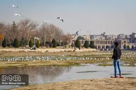 محمدی: تبعات اجتماعی خشکی زاینده‌رود، متوجه استان‌های همجوار اصفهان می‌شود