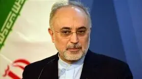 صالحی: آغاز تست سرد نیروگاه اراک تا ۵ یا ۶ ماه آینده / ۷۰ تا ۸۰ دستاورد جدید هسته‌ای در ۲۰ فروردین رونمایی می‌شود / برجام تا یک هفته آینده تعیین تکلیف می‌شود