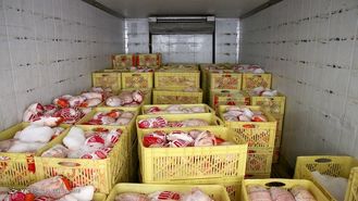 افزایش ۲۵ درصدی تولید مرغ/ بازار مرغ تهران به زودی به آرامش می‌رسد
