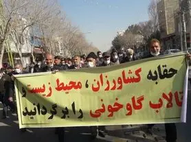 مطالبه کشاورزان اصفهان سیاسی نیست/مشارکت حداکثری در انتخابات