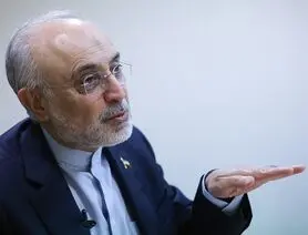 علی اکبر صالحی: پیش از برجام، به خاطر قطعنامه ۱۹۲۹، حتی نمی‌گذاشتند کشتی هایمان عبور و مرور کنند