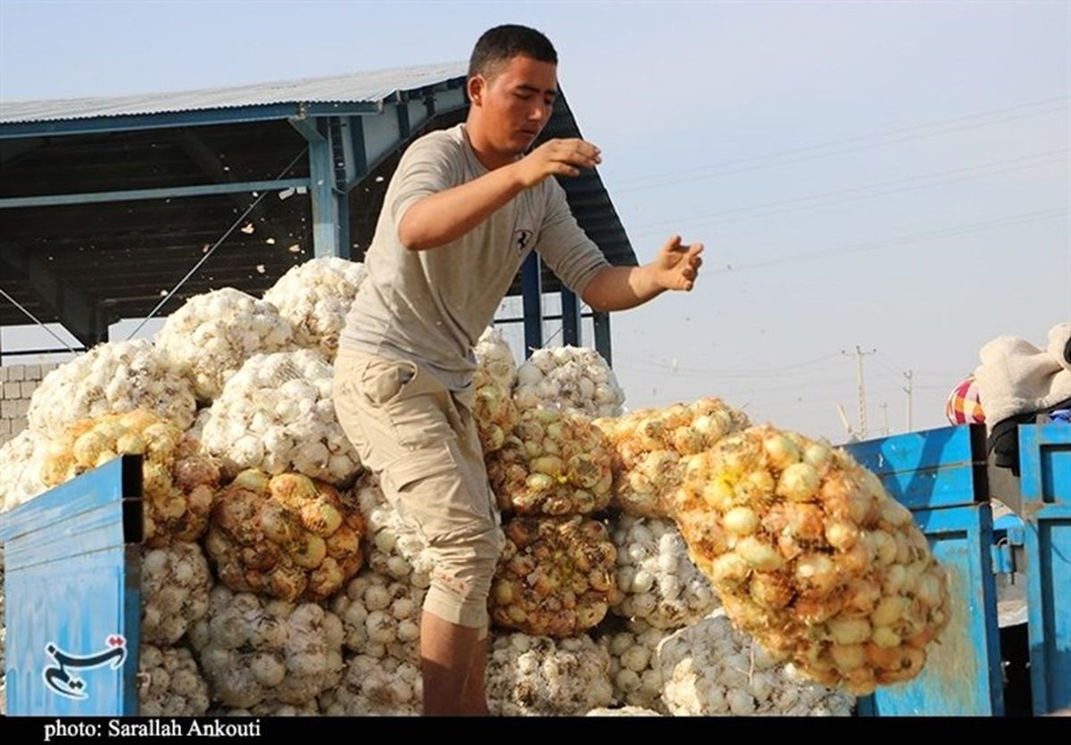 کرایه سرسام آور کامیون انتقال و فروش محصولات کشاورزی در تهران را از صرفه انداخت