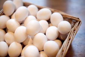 میانگین قیمت تخم‌مرغ کیلویی ۱۰ هزار و ۵۰۰ تومان است/ ذخیره‌سازی تخم مرغ راهکاری برای ثبات عرضه و تقاضا