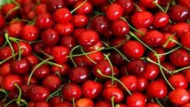 عرضه گیلاس نوبرانه در بازار/ گوجه فرنگی گران شد