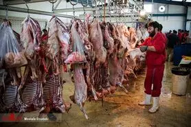 قیمت گوشت چگونه کاهش می‌یابد؟