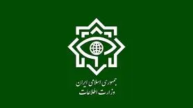 واکنش وزارت اطلاعات به سخنان اخیر احمدی نژاد
