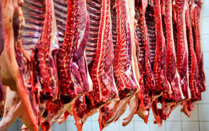بازار گوشت در رکود به سر می‌برد | قیمت هر کیلو لاشه گوسفند ۱۱۰ هزار تومان