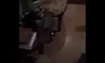 دزد به خانه مریم امیرجلالی زد!