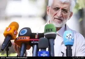 جلیلی: واردکنندگان دانه‌های روغنی از موانع خودکفایی هستند