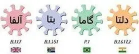 سرعت انتشار دلتا ۸ برابر کرونای معمولی است