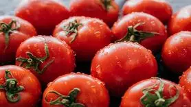 قیمت رب گوجه چند؟