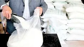 حسنی : شکر فله‌ای بخرید، به صرفه‌تر است!
