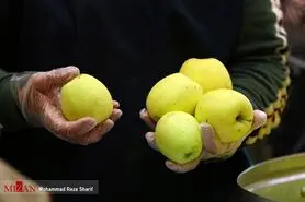 سیب تنها کلید واردات موز/ پیشنهاد صادرات دیگر محصولات کشاورزی به جای سیب
