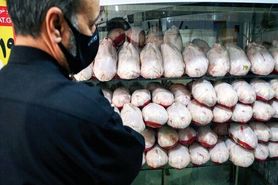 نارضایتی مرغداران از قیمت مصوب| تنها ۳۰ درصد مرغ با قیمت مصوب در بازار عرضه می شود